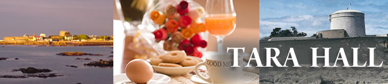 tara Hall bed and breakfast b&b dun laoghaire dublin guesthouse
